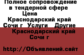 Полное сопровождение в тендерной сфере › Цена ­ 2 800 - Краснодарский край, Сочи г. Услуги » Другие   . Краснодарский край,Сочи г.